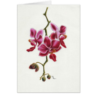 Tarjeta rosada de la orquídea
