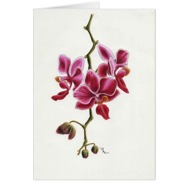 Tarjeta rosada de la orquídea (Frente)
