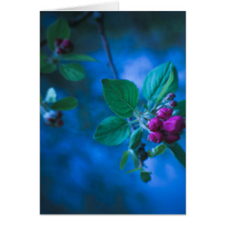Tarjeta rosada de las flores
