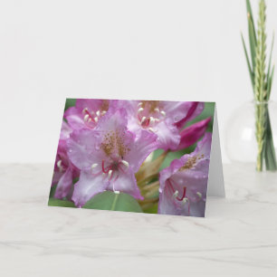 Tarjeta rosada de Rhody