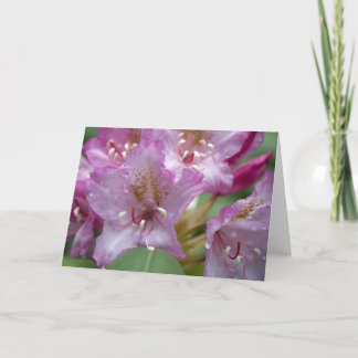 Tarjeta rosada de Rhody