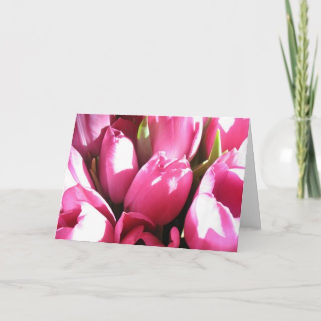 Tarjeta rosada de tulipanes (Anverso)