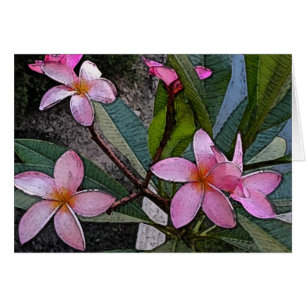 Tarjeta rosada del Plumeria