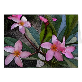 Tarjeta rosada del Plumeria