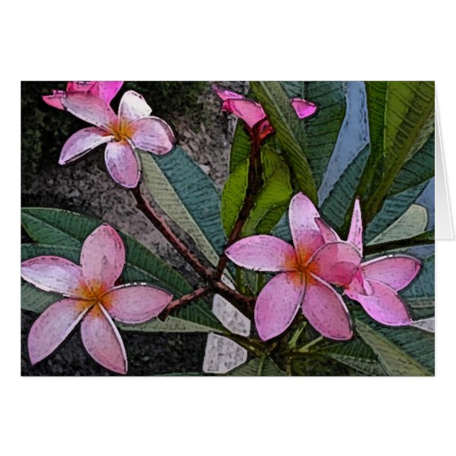 Tarjeta rosada del Plumeria (Anverso (Horizontal))