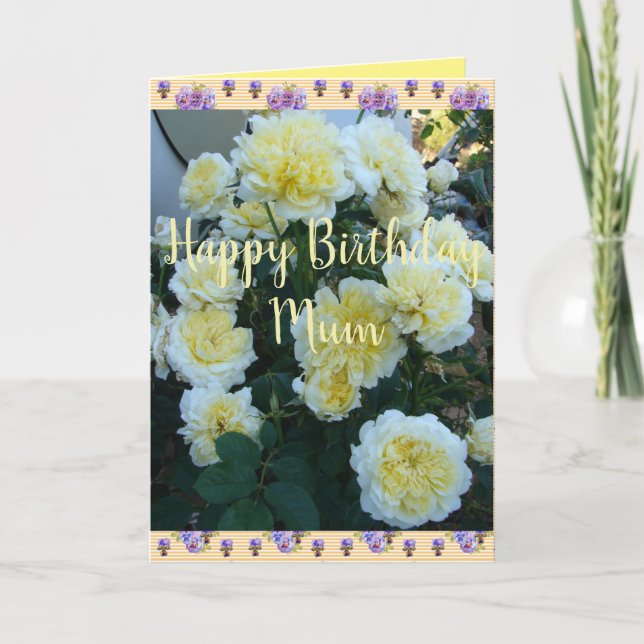 Tarjeta Rosas amarillo de David Austin Rosa coche de cumpl (Anverso)