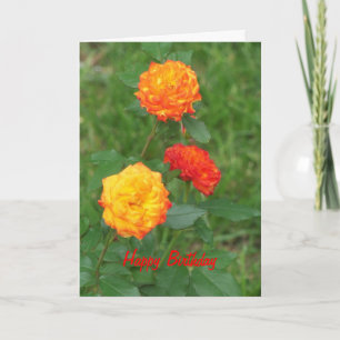 Tarjeta Rosas Amarillos y Naranjas, cumpleaños especial
