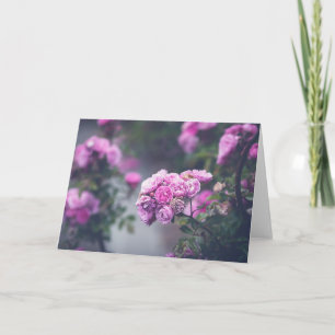Tarjeta Rosas de la col