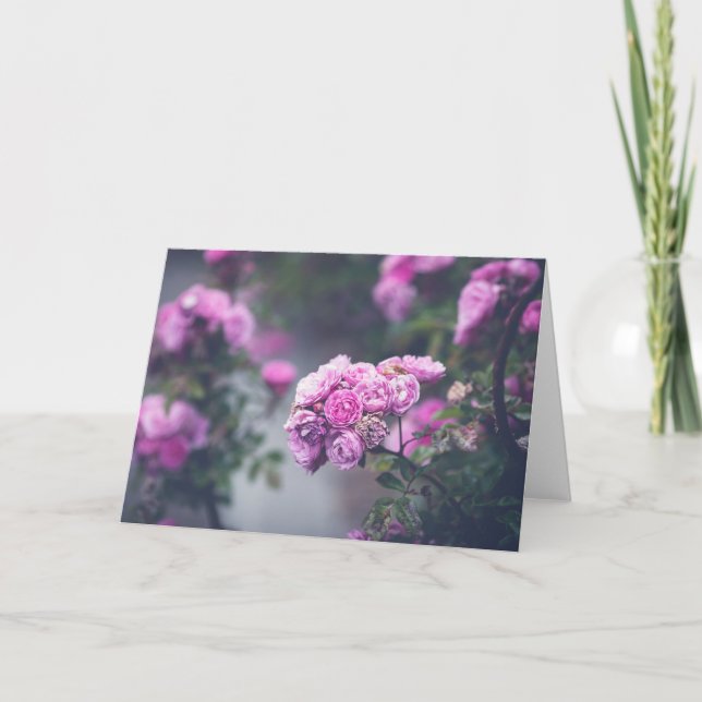 Tarjeta Rosas de la col (Anverso)