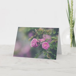 Tarjeta Rosas de la col