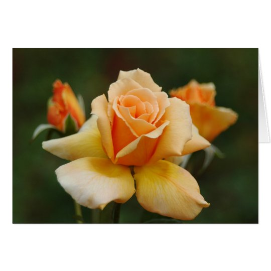 Tarjeta Rosas de oro