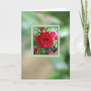 Tarjeta Rosas de té ponen en blanco para personalizar la t