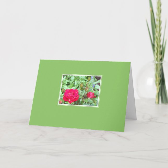 Tarjeta Rosas del té Inset Blank Saludo (Anverso)
