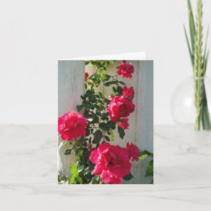 Tarjeta Rosas en ascenso rojo, simpatía