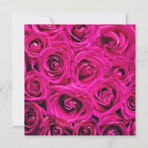 Tarjeta Rosas en Blogueo Rosa Profundo