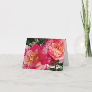 Tarjeta Rosas Rayadas de Rosa y Blanco 4" x 5.6" Gracias