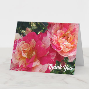 Tarjeta Rosas Rayadas de Rosa y Blanco 4" x 5.6" Gracias 