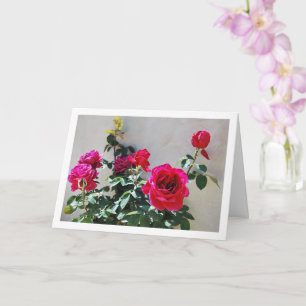 Tarjeta Rosas rojas contra pared de jardín