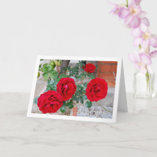 Tarjeta Rosas Rojas Florales Vibrantes