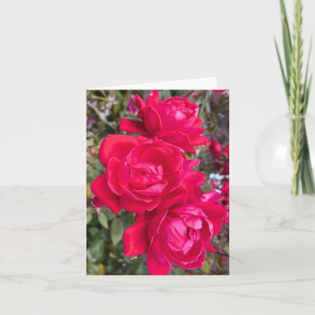 Tarjeta Rosas Rojas, Tres Rosas Rojas Oscuras En Una Foto  (Anverso)