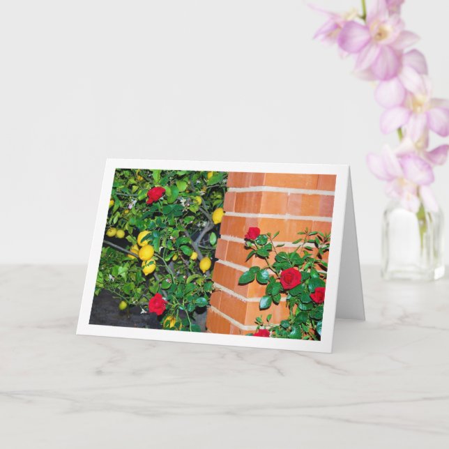 Tarjeta Rosas rojas y leones (Orquídea)