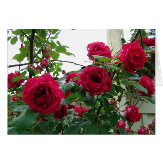 Tarjeta Rosas rojos que suben