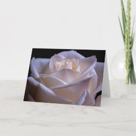 Tarjeta Rosas rosas rosas con dew