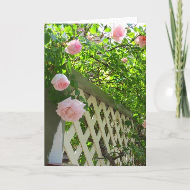 Tarjeta Rosas rosas y celosías rosas - Viñedo de Martha (Anverso)