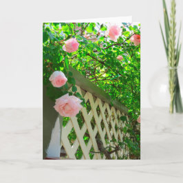 Tarjeta Rosas rosas y celosías rosas - Viñedo de Martha