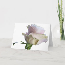 Tarjeta rosas rosas y verdes 7493