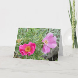 Tarjeta Rosas silvestres F4