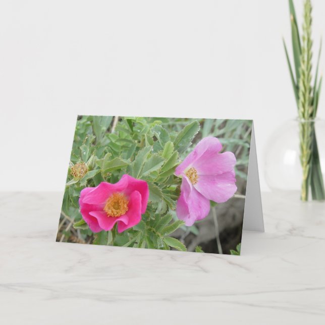 Tarjeta Rosas silvestres F4 (Anverso)