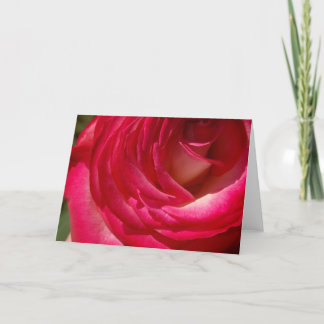 Tarjeta Rose10
