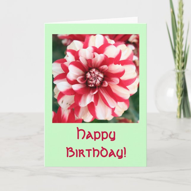 Tarjeta Rose Birthday Greeting Card (Anverso)