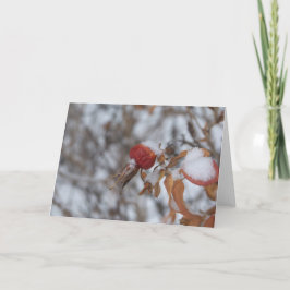 Tarjeta Rose Hip in Winter Card