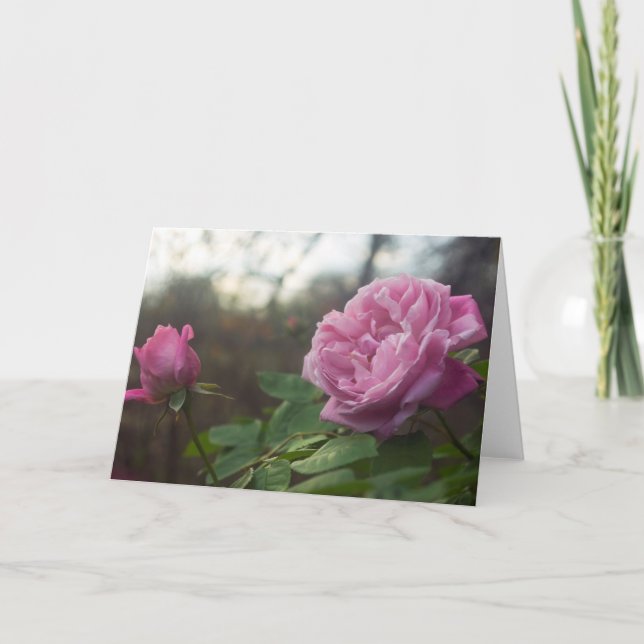 Tarjeta Rose Photo Standard, 5" x 7" Folded Greeting Card (Anverso)