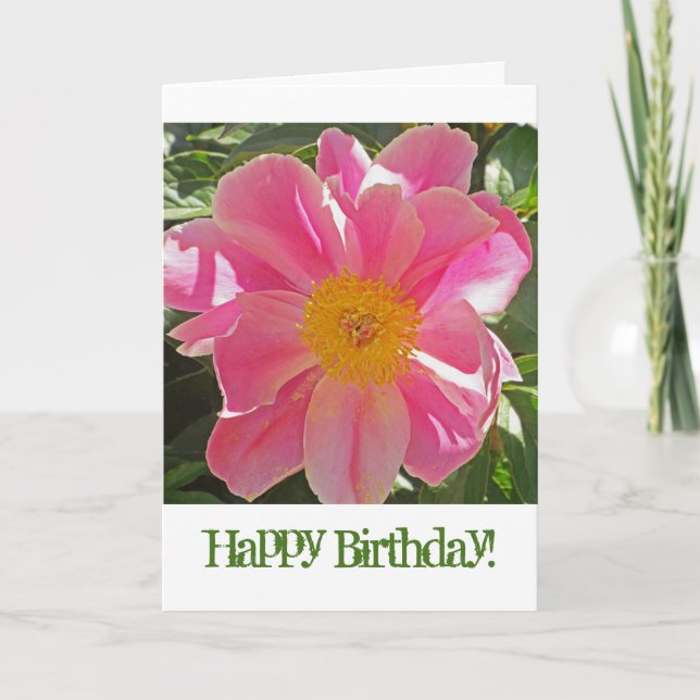 TARJETA ROSELETTE ROSA DE SOL/ CUMPLEAÑOS (Anverso)