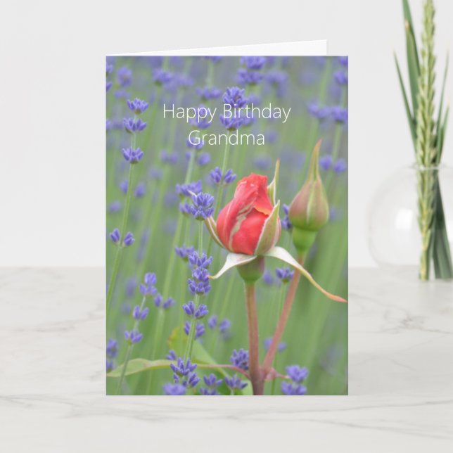 Tarjeta Roses Lavender Floral (my photography) Birthday (Anverso)