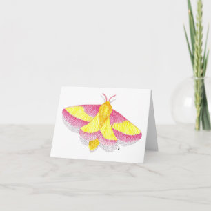 Tarjeta Rosy Maple Moth