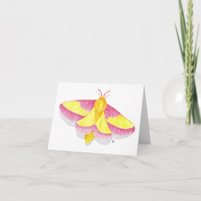 Tarjeta Rosy Maple Moth (Anverso)