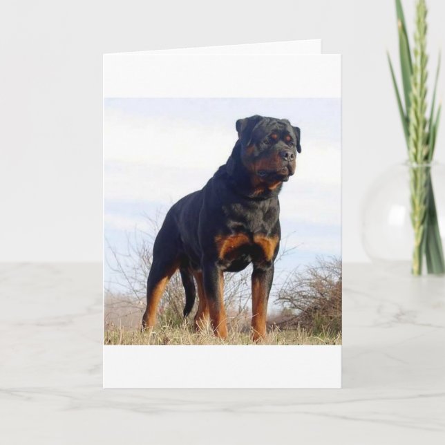 Tarjeta Rottweiler (Anverso)