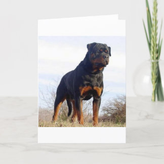 Tarjeta Rottweiler