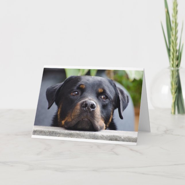 Tarjeta rottweiler 2.png (Anverso)