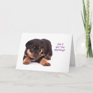 Tarjeta Rottweiler Puppy Get Well