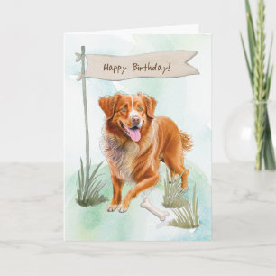 Tarjeta Rótulo de cumpleaños de nova Scotia Duck Toledo