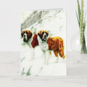 Tarjeta rough and smooth St Bernard - painting