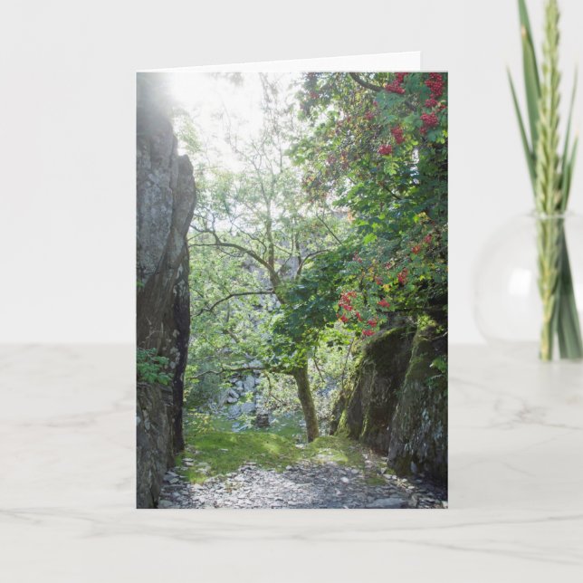 Tarjeta Rowan Tree Tilberthwaite Quarry (Anverso)