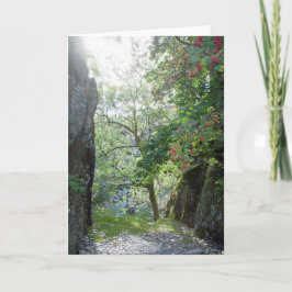 Tarjeta Rowan Tree Tilberthwaite Quarry