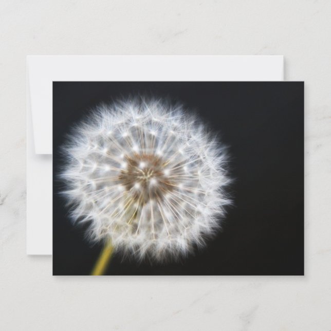 Tarjeta RSVP de Dandelion Wedding (Anverso)