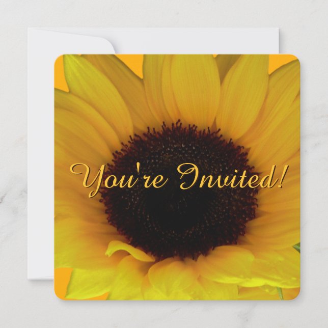Tarjeta RSVP de flor de flor de girasol (Anverso)